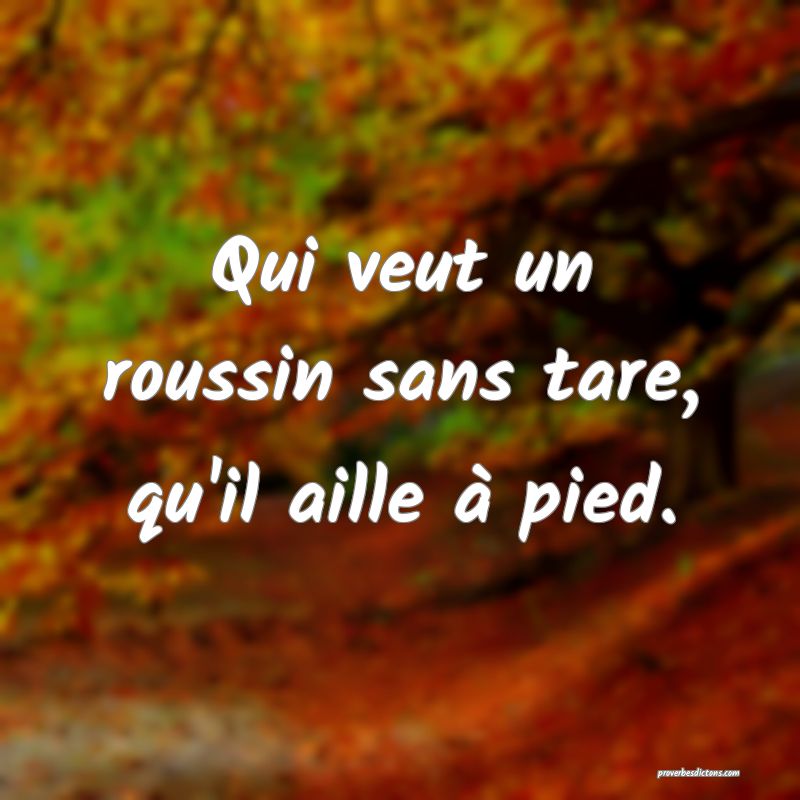 Qui veut un roussin sans tare, qu'il aille à pied.