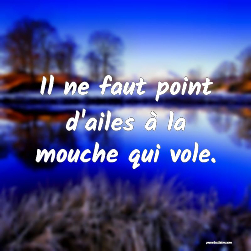 Il ne faut point d'ailes à la mouche qui vole.