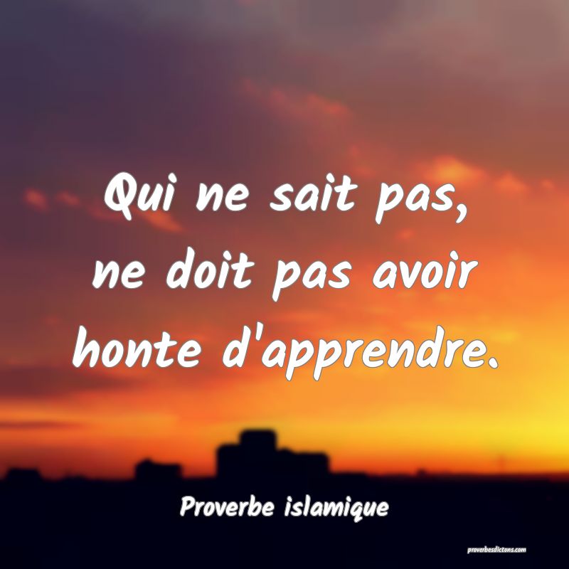 Qui ne sait pas, ne doit pas avoir honte d'apprendre.