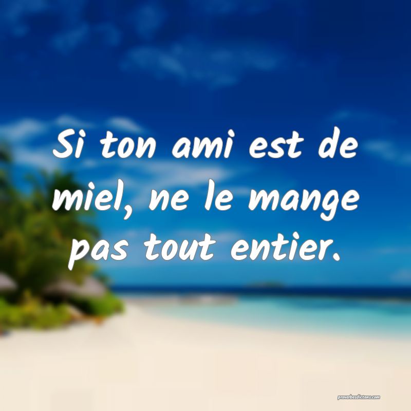 Si ton ami est de miel, ne le mange pas tout entier.