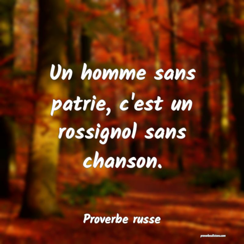  Un homme sans patrie, c'est un rossignol sans chanson.