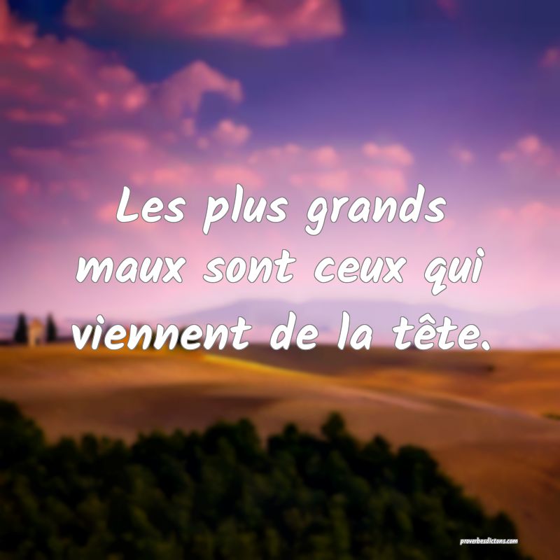 Les plus grands maux sont ceux qui viennent de la tête.