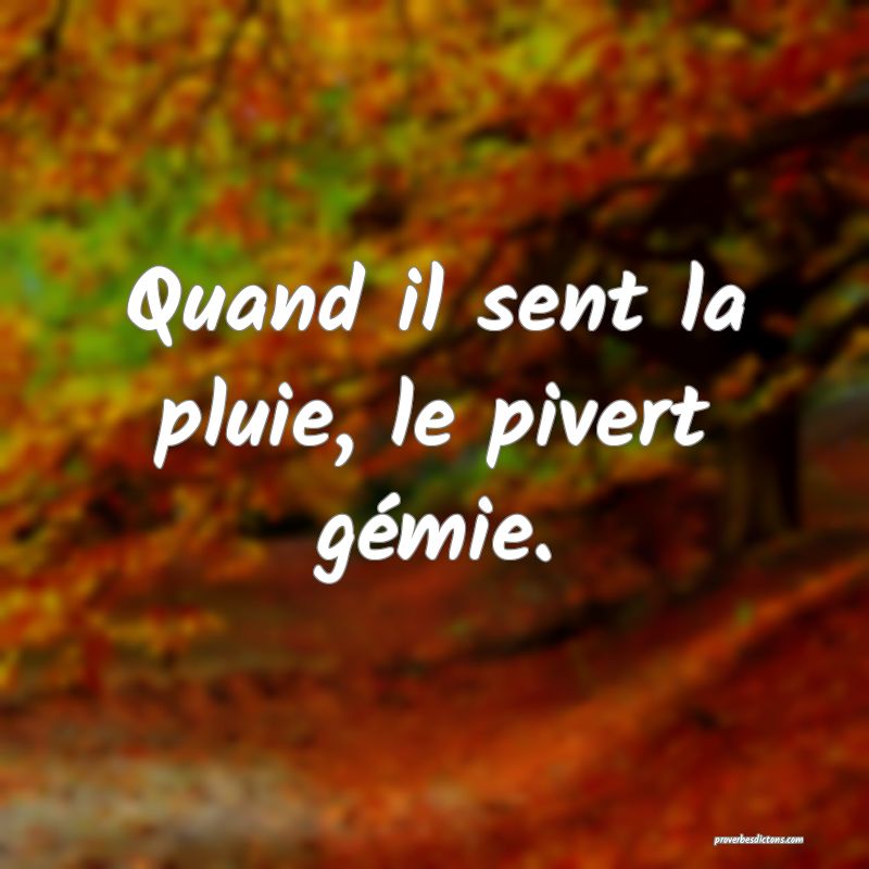 Quand il sent la pluie, le pivert gémie.