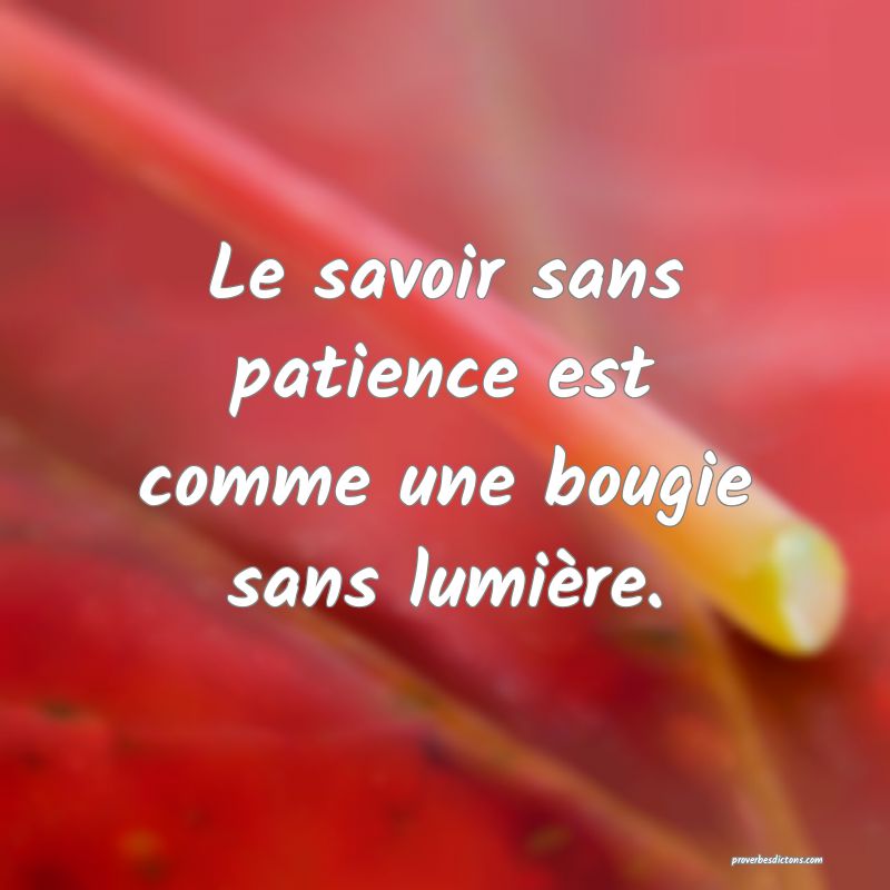 Le savoir sans patience est comme une bougie sans lumière.