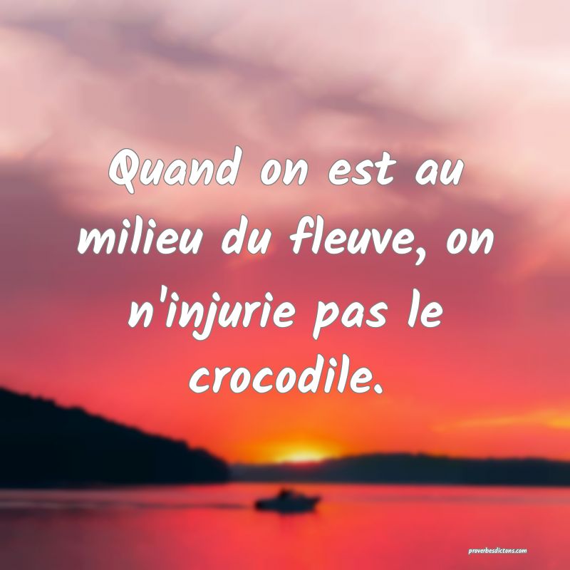 Quand on est au milieu du fleuve, on n'injurie pas le crocodile.