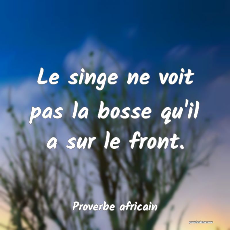 Le singe ne voit pas la bosse qu'il a sur le front.