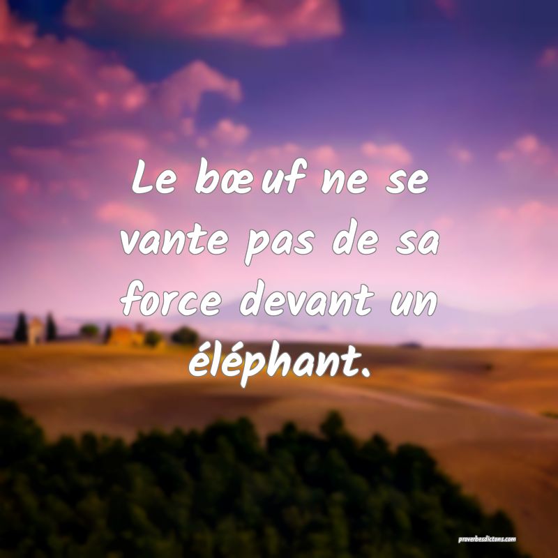 Le bœuf ne se vante pas de sa force devant un éléphant.