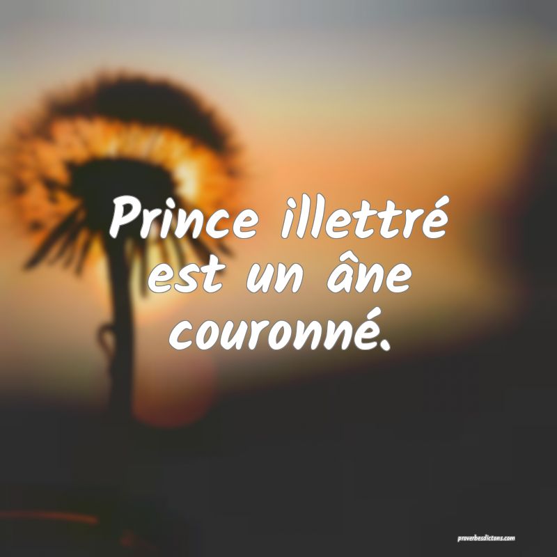 Prince illettré est un âne couronné.