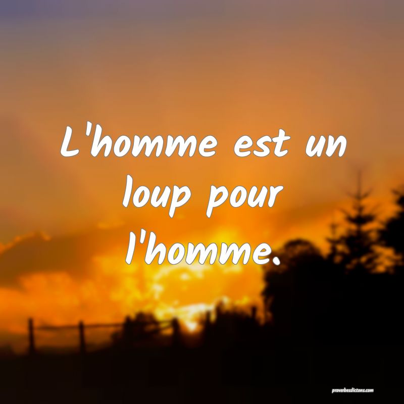 L'homme est un loup pour l'homme.