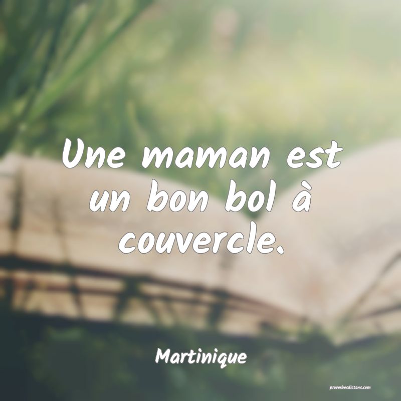 Une maman est un bon bol à couvercle.