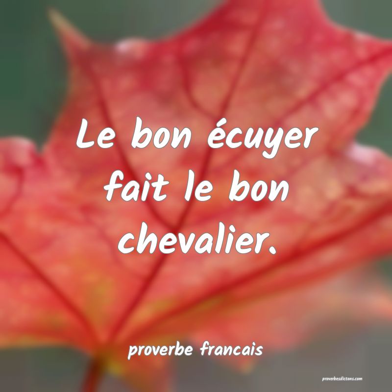 Le bon écuyer fait le bon chevalier.