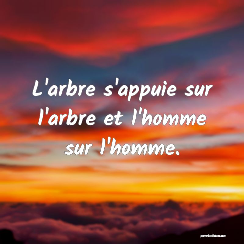 L'arbre s'appuie sur l'arbre et l'homme sur l'homme.