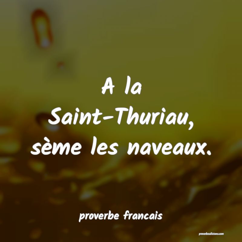 A la Saint-Thuriau, sème les naveaux.
