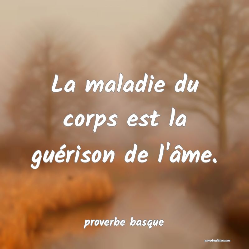  La maladie du corps est la guérison de l'âme.