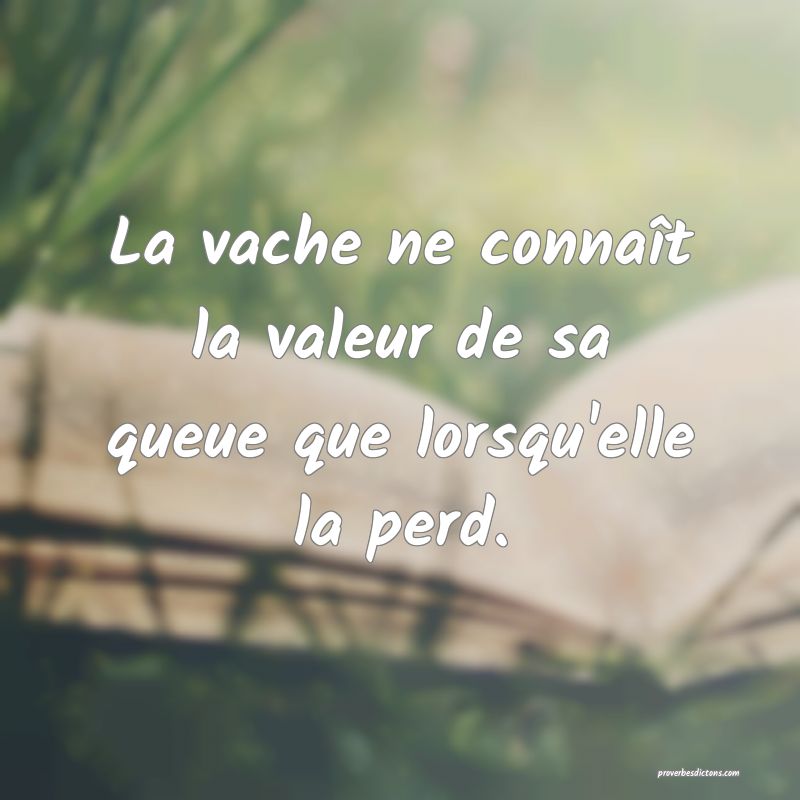La vache ne connaît la valeur de sa queue que lorsqu'elle la perd.