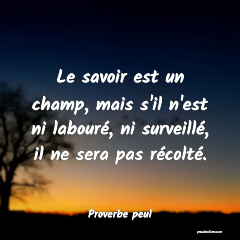 Le savoir est un champ, mais s'il n'est ni labouré, ni surveillé, il ne sera pas récolté.