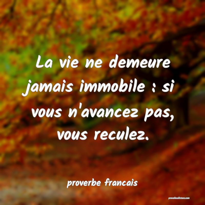 La vie ne demeure jamais immobile : si vous n'avancez pas, vous reculez.