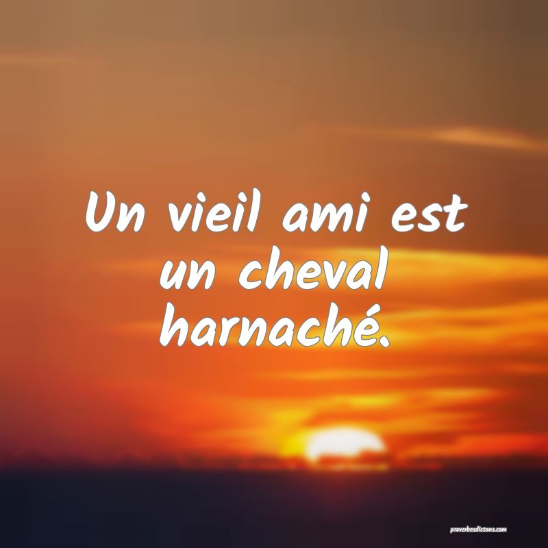 Un vieil ami est un cheval harnaché.