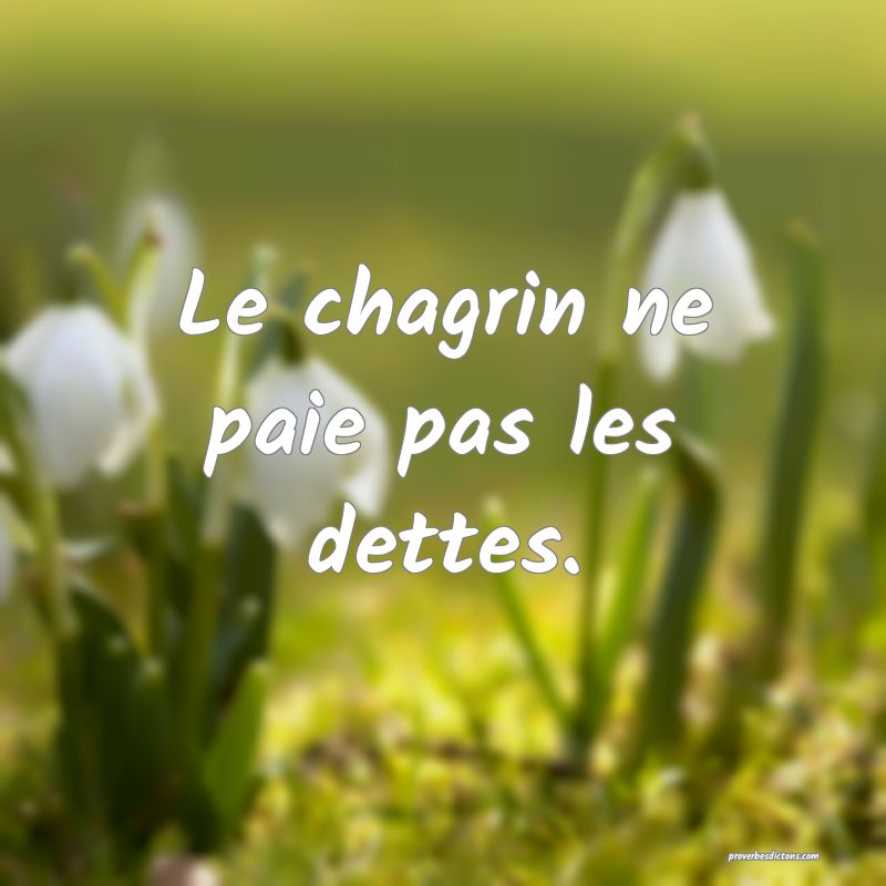 Le chagrin ne paie pas les dettes.