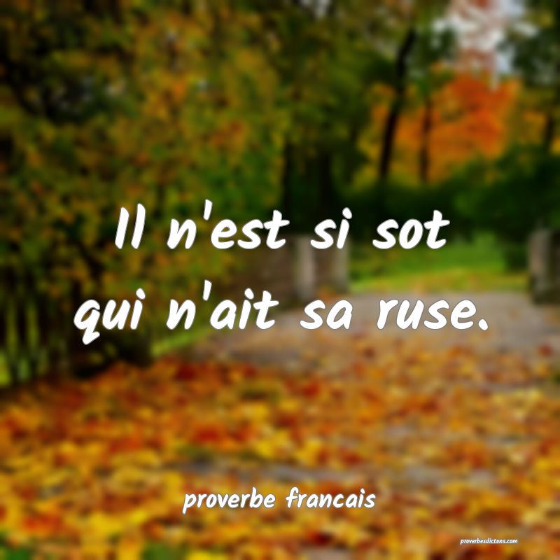 Il n'est si sot qui n'ait sa ruse.