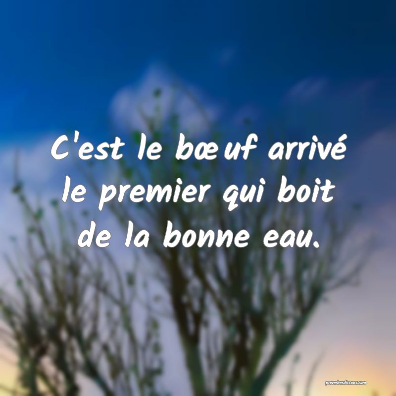 C'est le bœuf arrivé le premier qui boit de la bonne eau.