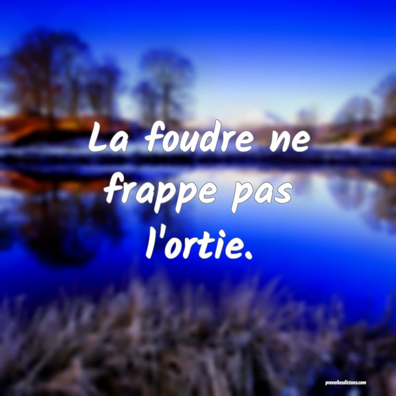 La foudre ne frappe pas l'ortie.