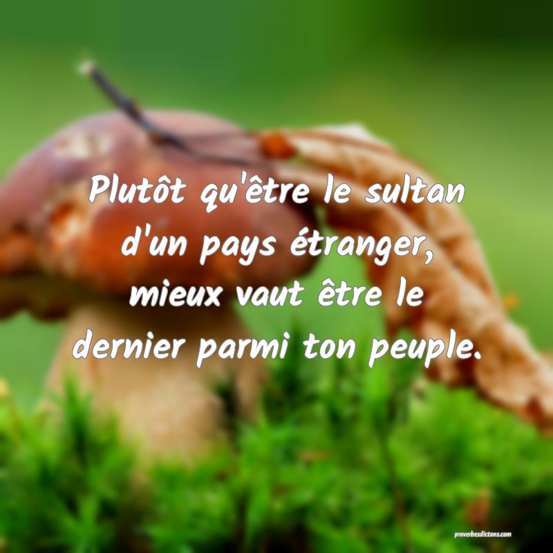 Plutôt qu'être le sultan d'un pays étranger, mieux vaut être le dernier parmi ton peuple.