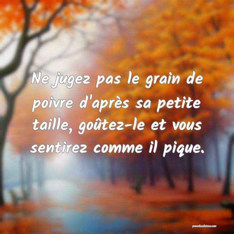 Ne jugez pas le grain de poivre d'après sa petite taille, goûtez-le et vous sentirez comme il pique.