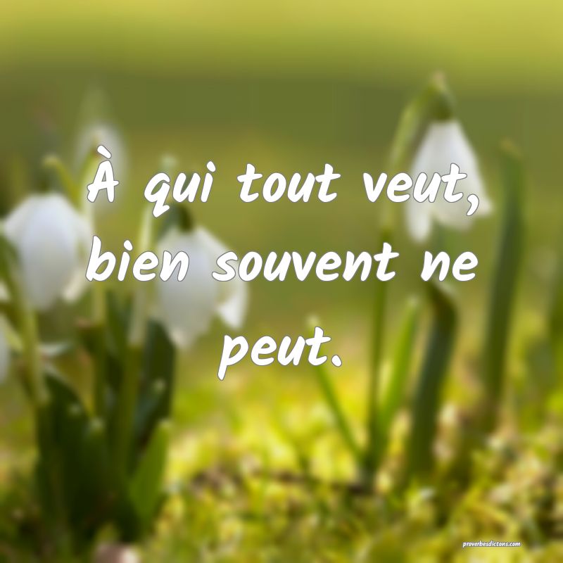 À qui tout veut, bien souvent ne peut.