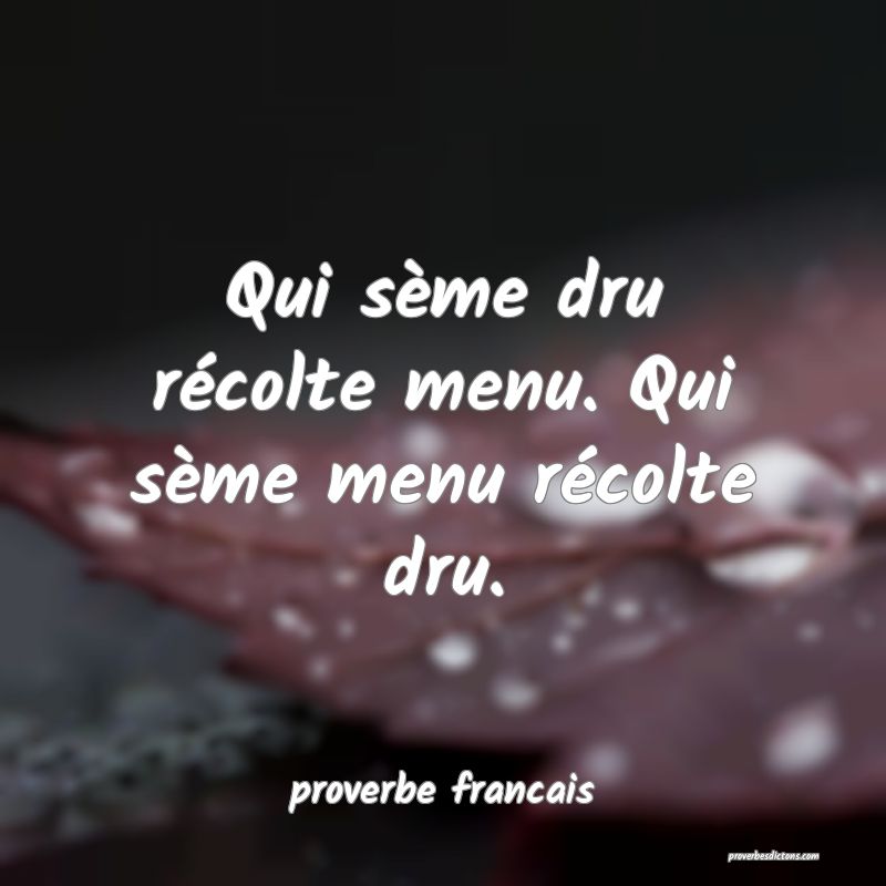 Qui sème dru récolte menu. Qui sème menu récolte dru.