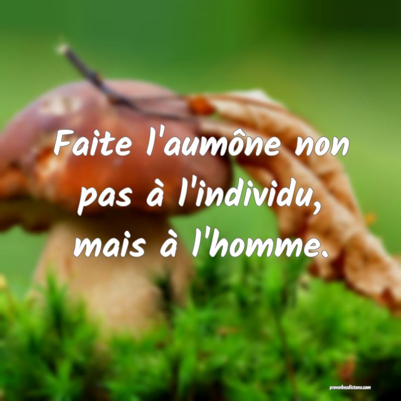 Faite l'aumône non pas à l'individu, mais à l'homme.