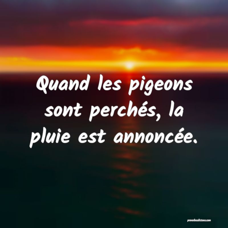 Quand les pigeons sont perchés, la pluie est annoncée.
