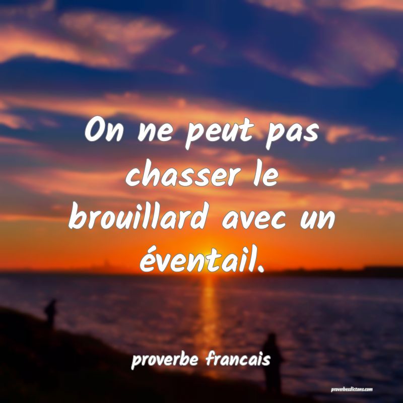  On ne peut pas chasser le brouillard avec un éventail.
