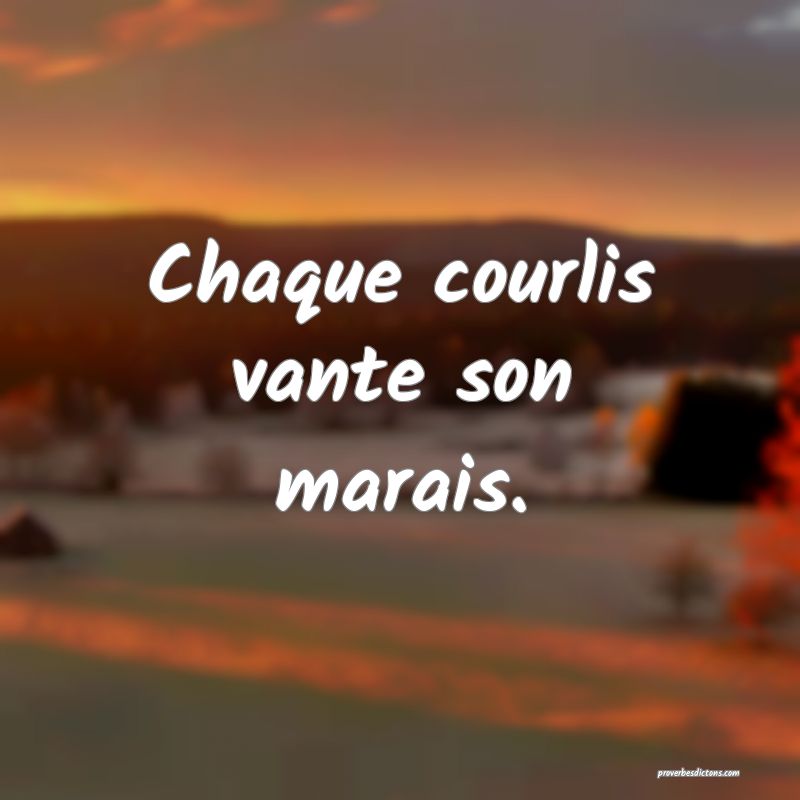 Chaque courlis vante son marais.