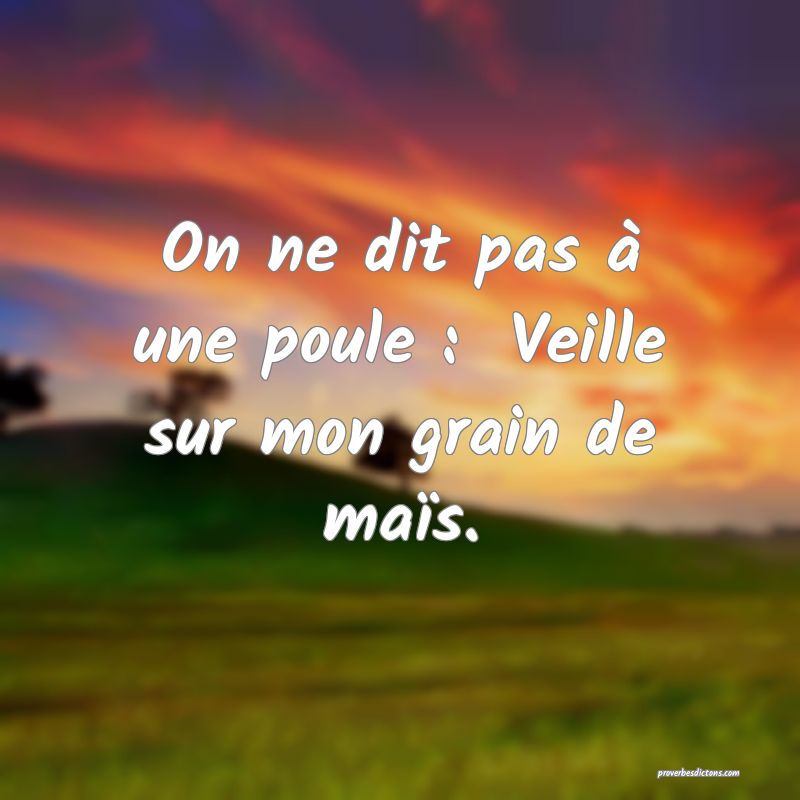On ne dit pas à une poule :  Veille sur mon grain de maïs.
