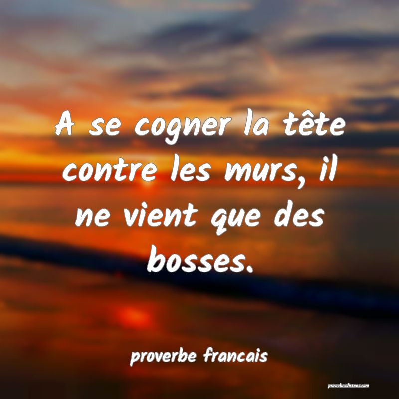 A se cogner la tête contre les murs, il ne vient que des bosses.