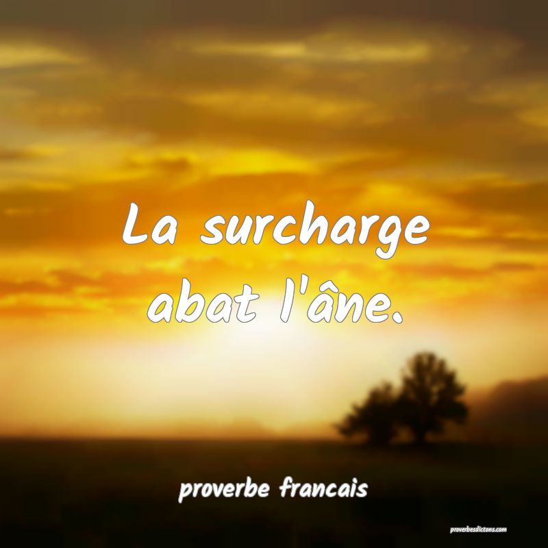 La surcharge abat l'âne.