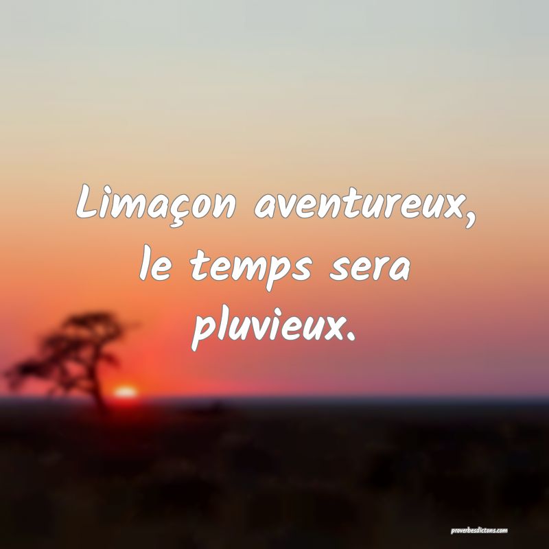 Limaçon aventureux, le temps sera pluvieux.
