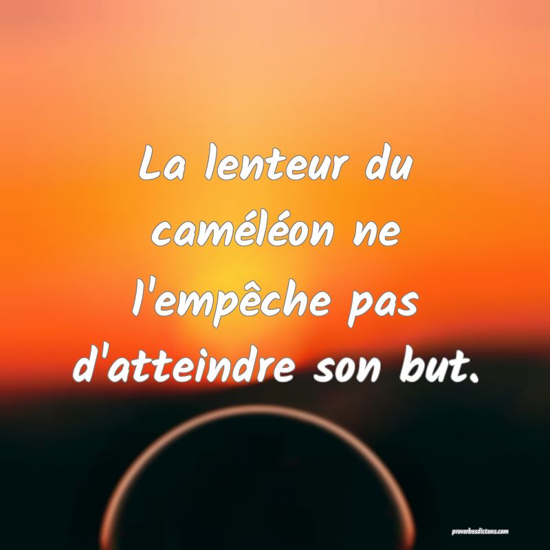 La lenteur du caméléon ne l'empêche pas d'atteindre son but.