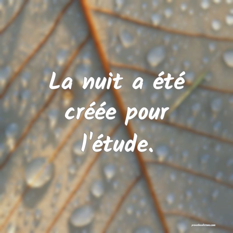 La nuit a été créée pour l'étude.