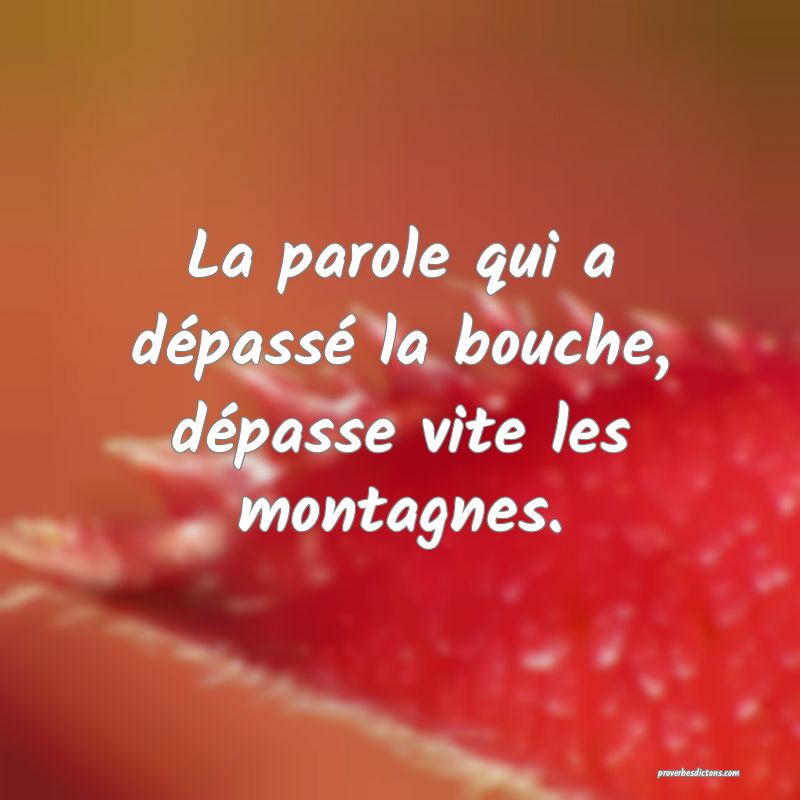 La parole qui a dépassé la bouche, dépasse vite les montagnes.