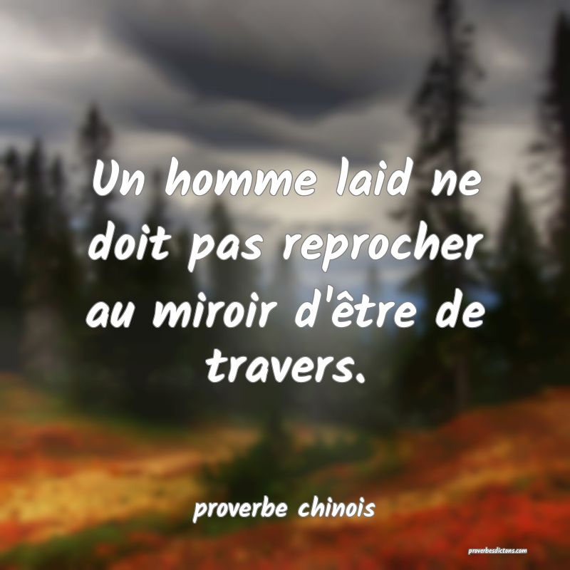 Un homme laid ne doit pas reprocher au miroir d'être de travers.