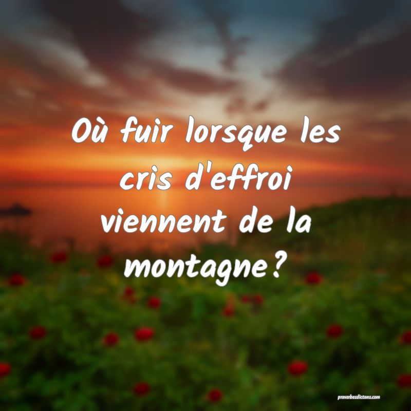 Où fuir lorsque les cris d'effroi viennent de la montagne?