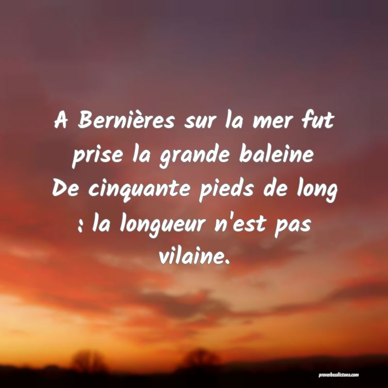 A Bernières sur la mer fut prise la grande baleine
De cinquante pieds de long : la longueur n'est pas vilaine.