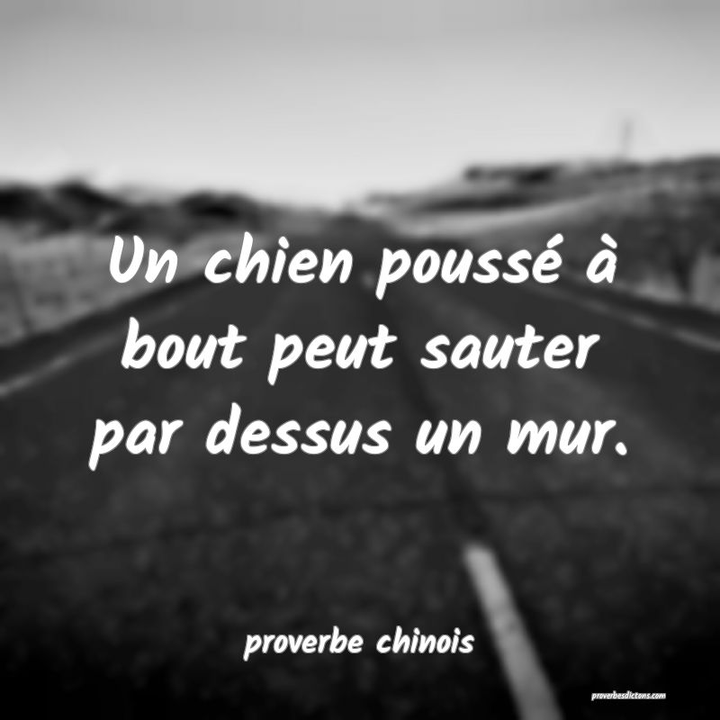 Un chien poussé à bout peut sauter par dessus un mur.