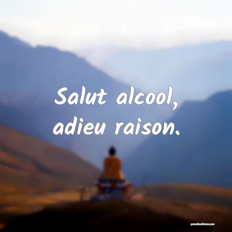 Salut alcool, adieu raison.