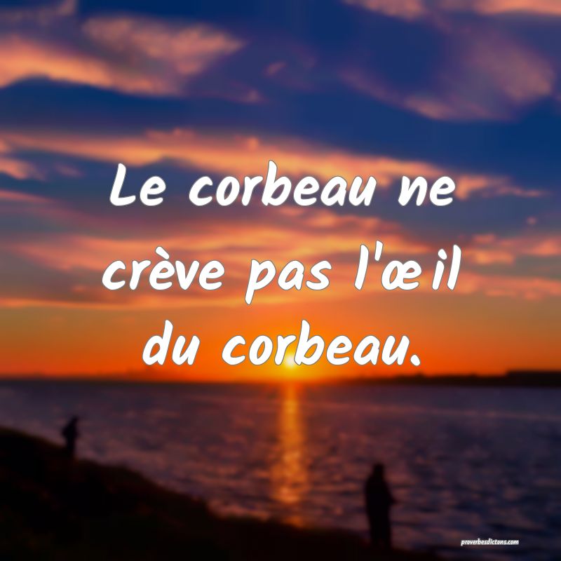 Le corbeau ne crève pas l'œil du corbeau.
