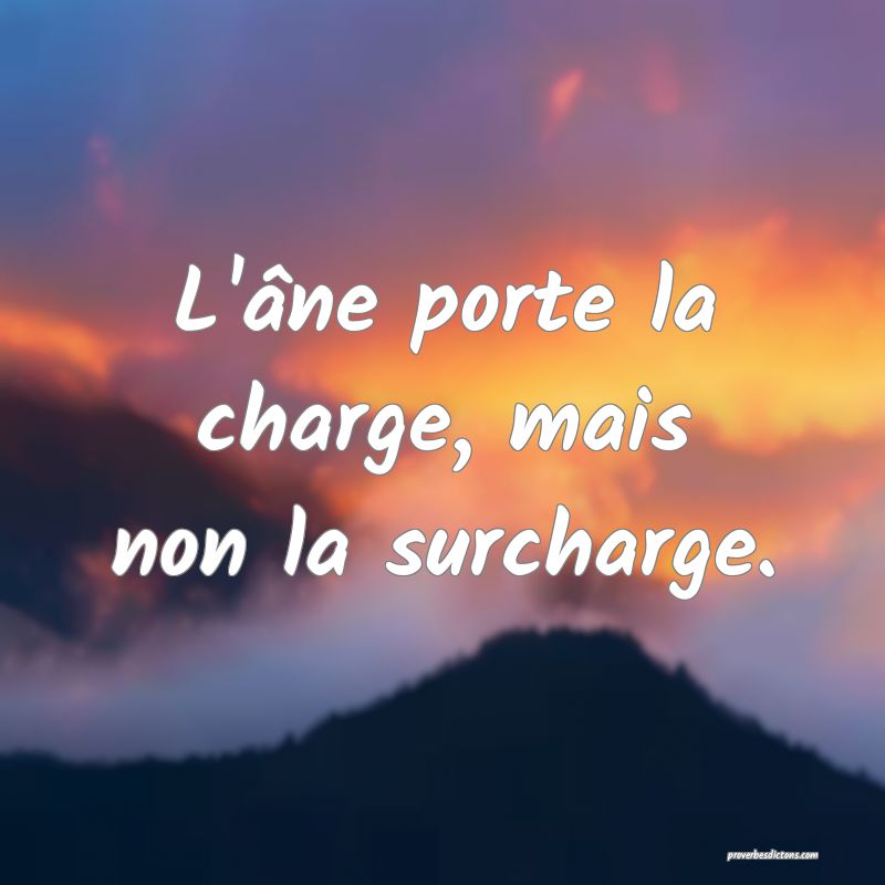 L'âne porte la charge, mais non la surcharge.