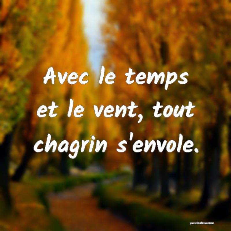 Avec le temps et le vent, tout chagrin s'envole.