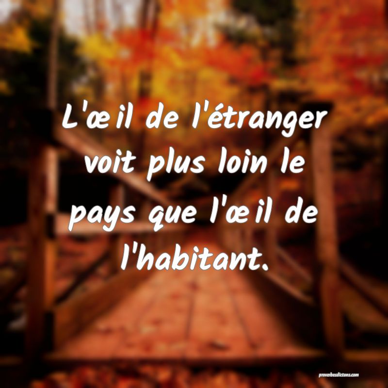 L'œil de l'étranger voit plus loin le pays que l'œil de l'habitant.